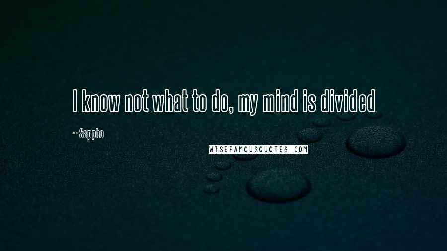 Sappho quotes: I know not what to do, my mind is divided