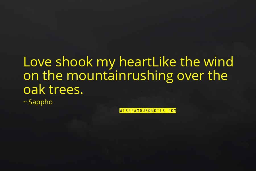 Sappho Quotes By Sappho: Love shook my heartLike the wind on the