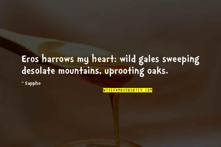 Sappho's Quotes By Sappho: Eros harrows my heart: wild gales sweeping desolate