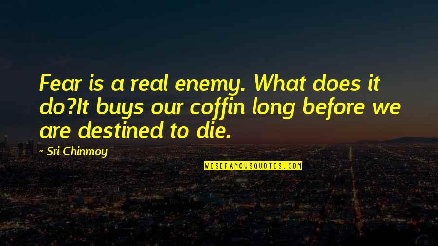 Sappy Cheesy Love Quotes By Sri Chinmoy: Fear is a real enemy. What does it
