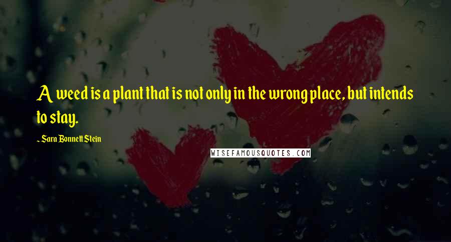 Sara Bonnett Stein quotes: A weed is a plant that is not only in the wrong place, but intends to stay.