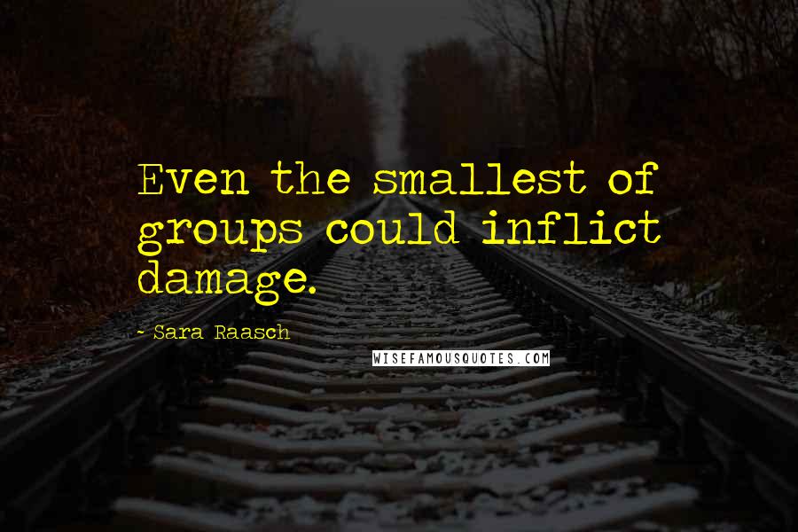 Sara Raasch quotes: Even the smallest of groups could inflict damage.