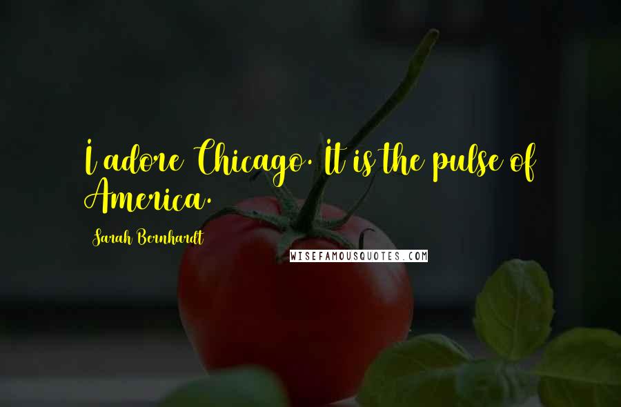 Sarah Bernhardt quotes: I adore Chicago. It is the pulse of America.