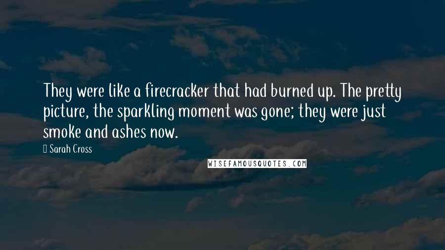 Sarah Cross quotes: They were like a firecracker that had burned up. The pretty picture, the sparkling moment was gone; they were just smoke and ashes now.