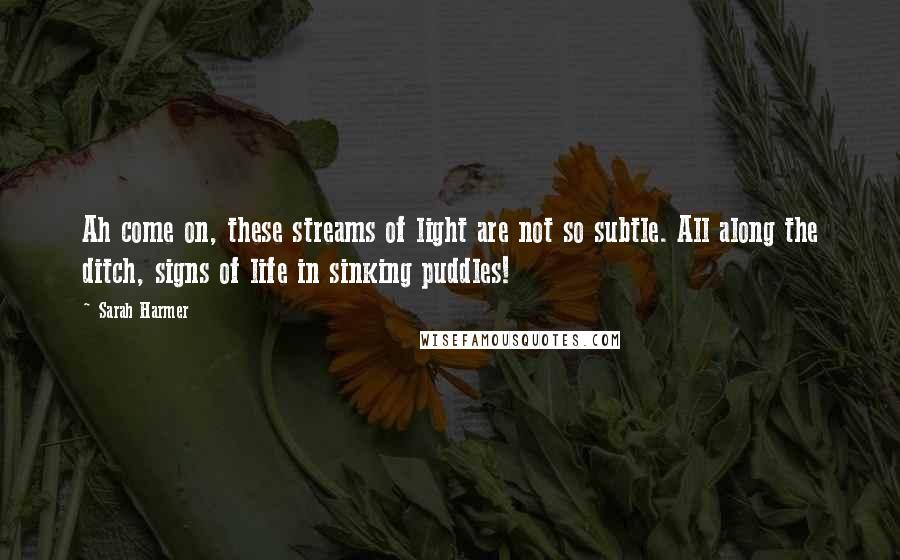 Sarah Harmer quotes: Ah come on, these streams of light are not so subtle. All along the ditch, signs of life in sinking puddles!