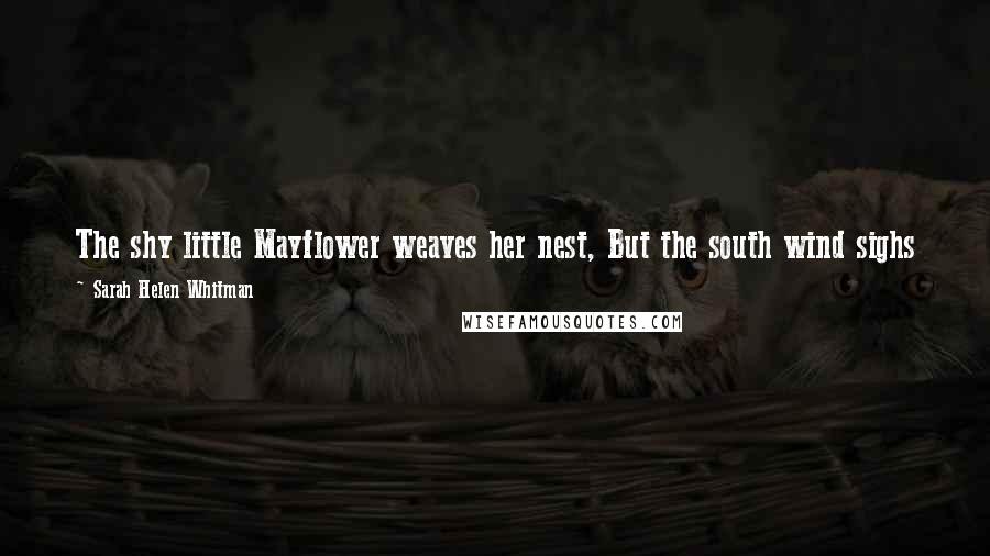 Sarah Helen Whitman quotes: The shy little Mayflower weaves her nest, But the south wind sighs o'er the fragrant loam, And betrays the path to her woodland home.