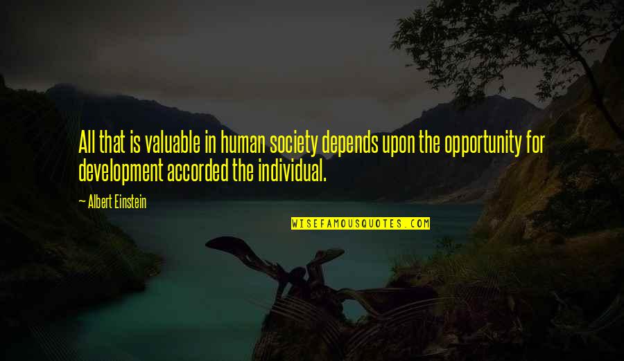 Sarah Hepola Blackout Quotes By Albert Einstein: All that is valuable in human society depends