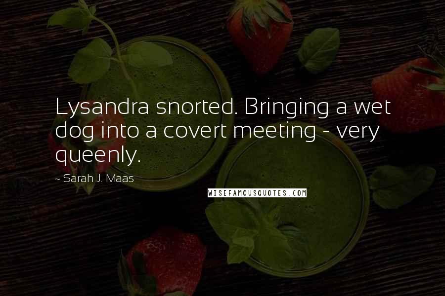 Sarah J. Maas quotes: Lysandra snorted. Bringing a wet dog into a covert meeting - very queenly.