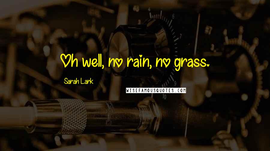 Sarah Lark quotes: Oh well, no rain, no grass.