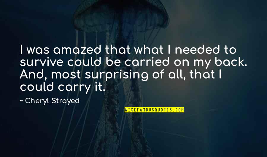 Sarah Lucero Quotes By Cheryl Strayed: I was amazed that what I needed to