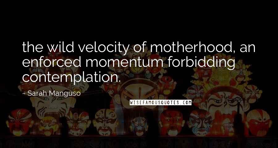Sarah Manguso quotes: the wild velocity of motherhood, an enforced momentum forbidding contemplation.