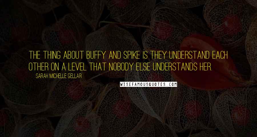 Sarah Michelle Gellar quotes: The thing about Buffy and Spike is they understand each other on a level that nobody else understands her.