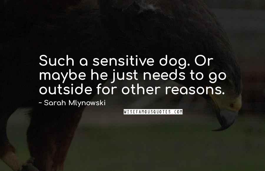 Sarah Mlynowski quotes: Such a sensitive dog. Or maybe he just needs to go outside for other reasons.