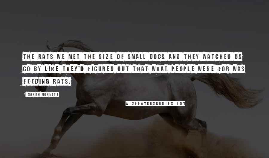 Sarah Monette quotes: The rats we met the size of small dogs and they watched us go by like they'd figured out that what People were for was feeding rats.