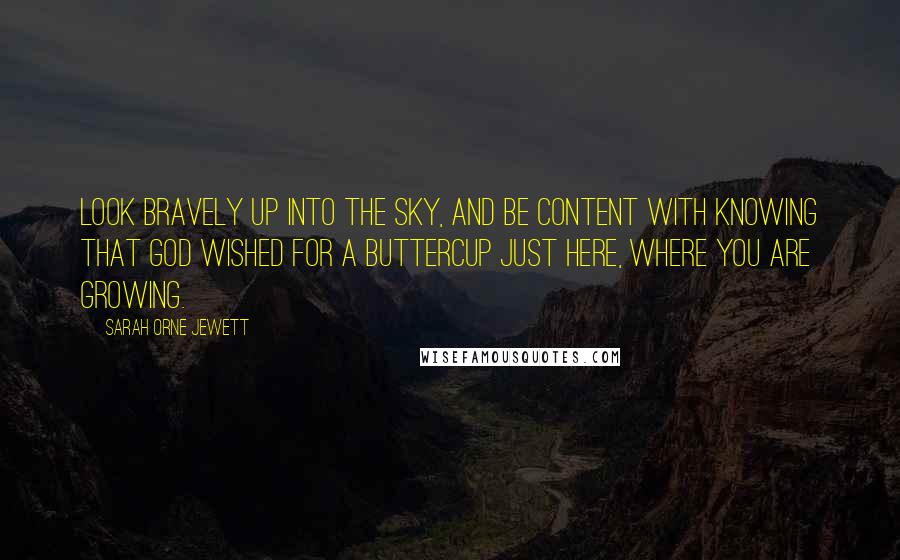 Sarah Orne Jewett quotes: Look bravely up into the sky, And be content with knowing That God wished for a buttercup Just here, where you are growing. Sarah Orne Jewett quotes: Look bravely up into the sky, And be content with knowing That God wished for a buttercup Just here, where you are growing.