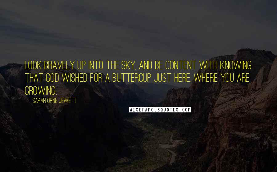 Sarah Orne Jewett quotes: Look bravely up into the sky, And be content with knowing That God wished for a buttercup Just here, where you are growing.