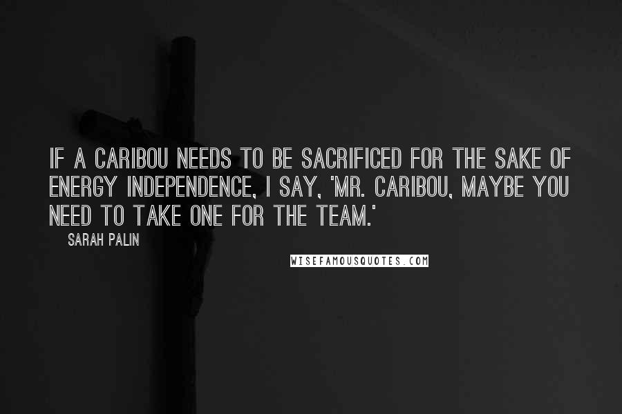 Sarah Palin quotes: If a caribou needs to be sacrificed for the sake of energy independence, I say, 'Mr. Caribou, maybe you need to take one for the team.'