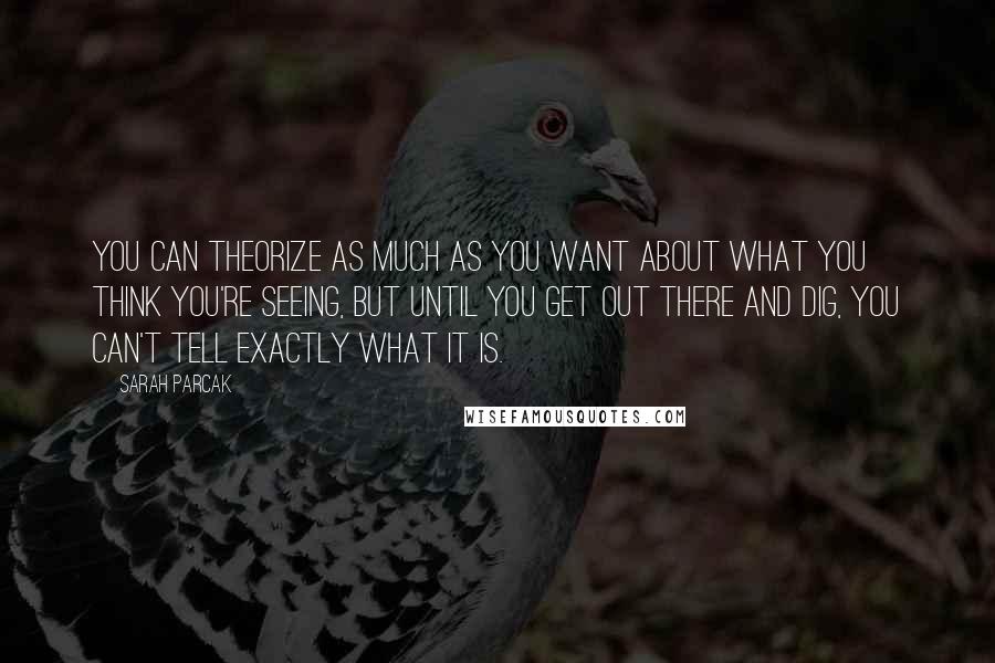 Sarah Parcak quotes: You can theorize as much as you want about what you think you're seeing, but until you get out there and dig, you can't tell exactly what it is. Sarah Parcak quotes: You can theorize as much as you want about what you think you're seeing, but until you get out there and dig, you can't tell exactly what it is.