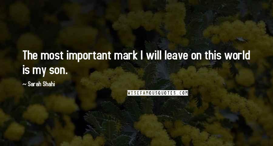 Sarah Shahi quotes: The most important mark I will leave on this world is my son.