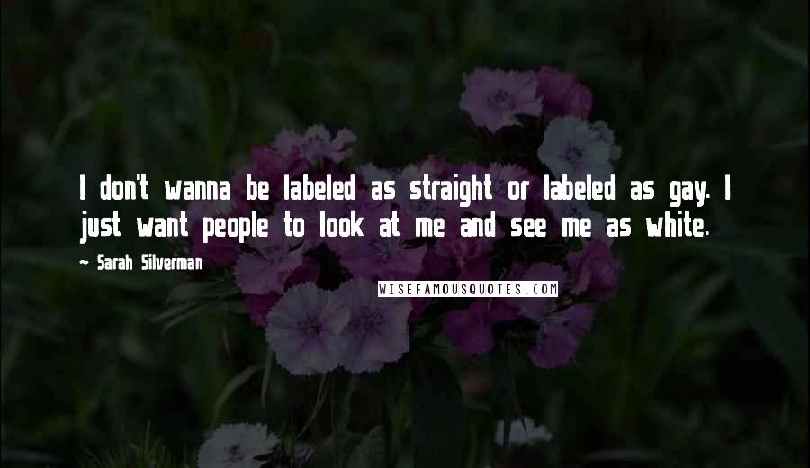 Sarah Silverman quotes: I don't wanna be labeled as straight or labeled as gay. I just want people to look at me and see me as white.