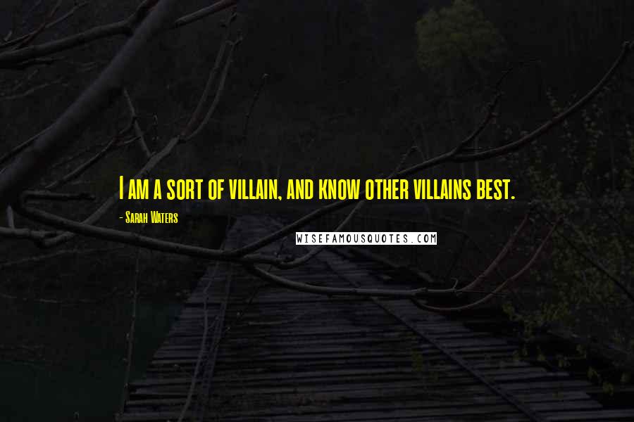 Sarah Waters quotes: I am a sort of villain, and know other villains best.