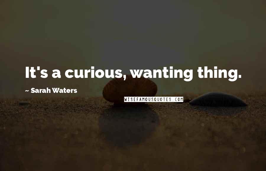 Sarah Waters quotes: It's a curious, wanting thing.
