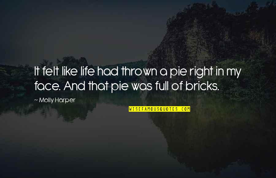 Sarainodu Quotes By Molly Harper: It felt like life had thrown a pie