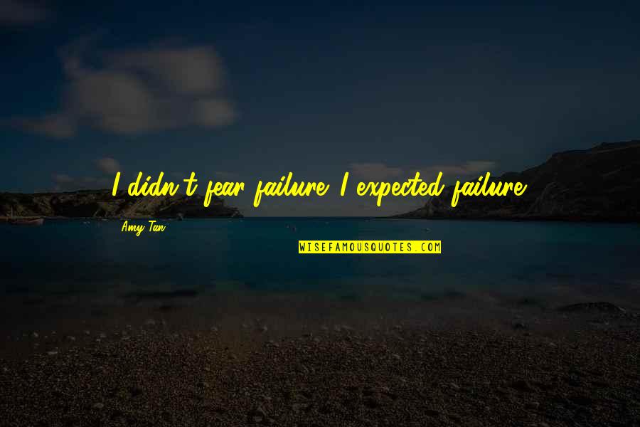 Saralinda Watts Quotes By Amy Tan: I didn't fear failure. I expected failure.