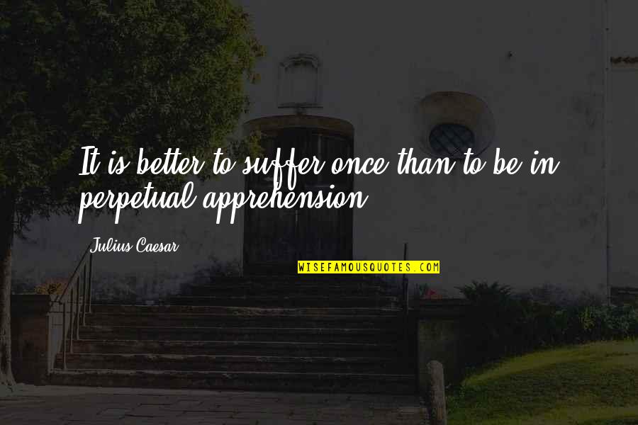 Sarantakos Asterix Quotes By Julius Caesar: It is better to suffer once than to