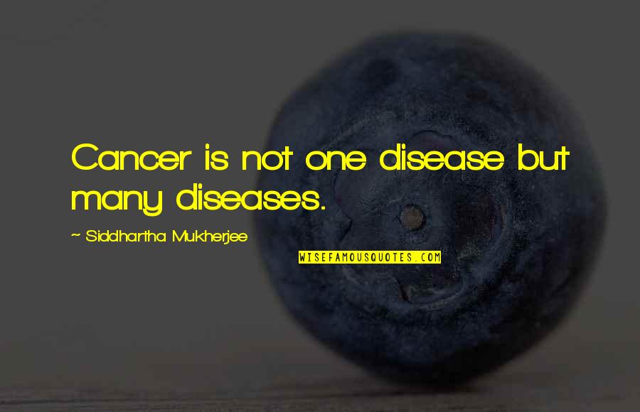 Sarap Maging Single Quotes By Siddhartha Mukherjee: Cancer is not one disease but many diseases. Sarap Maging Single Quotes By Siddhartha Mukherjee: Cancer is not one disease but many diseases.
