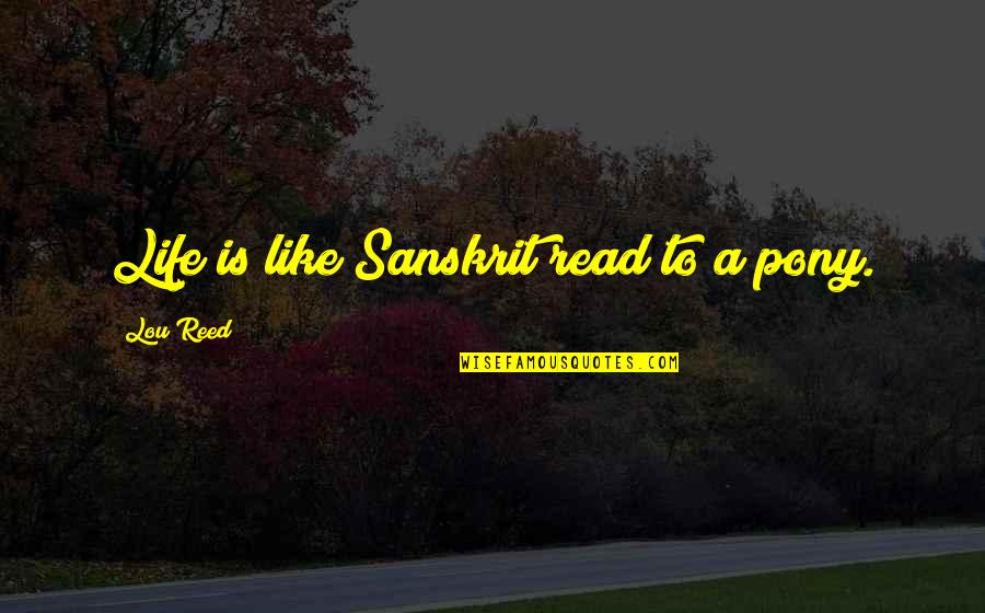 Sararaydass Quotes By Lou Reed: Life is like Sanskrit read to a pony. Sararaydass Quotes By Lou Reed: Life is like Sanskrit read to a pony.