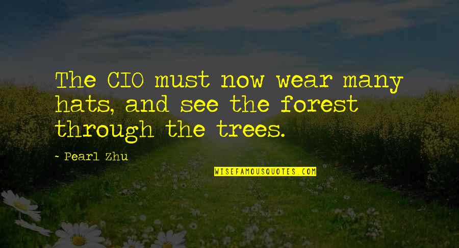 Sarawat Quotes By Pearl Zhu: The CIO must now wear many hats, and