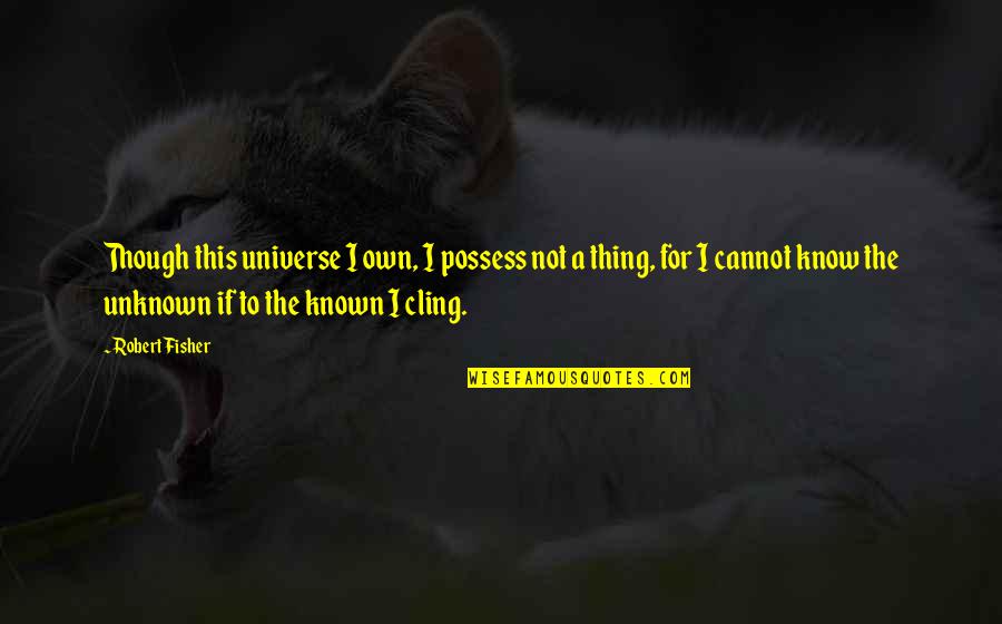 Sarcastic Bumper Stickers Quotes By Robert Fisher: Though this universe I own, I possess not