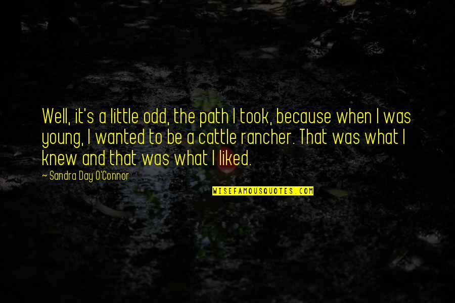 Sarcastic Clowns Quotes By Sandra Day O'Connor: Well, it's a little odd, the path I Sarcastic Clowns Quotes By Sandra Day O'Connor: Well, it's a little odd, the path I