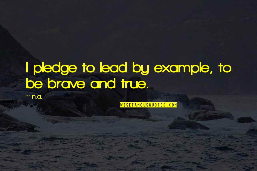 Sarcastic Ecology Quotes By N.a.: I pledge to lead by example, to be