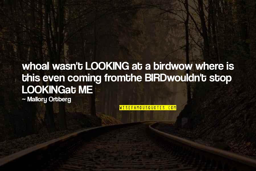 Sarcastic Gossipers Quotes By Mallory Ortberg: whoaI wasn't LOOKING at a birdwow where is