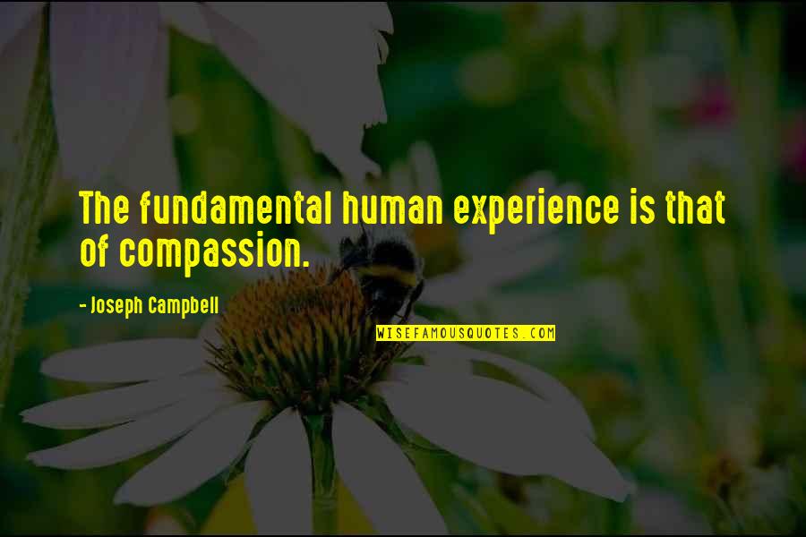 Sarcastic Humour Quotes By Joseph Campbell: The fundamental human experience is that of compassion. Sarcastic Humour Quotes By Joseph Campbell: The fundamental human experience is that of compassion.