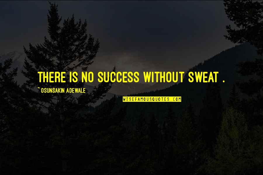 Sarcastic Immaturity Quotes By Osunsakin Adewale: There is no success without sweat .