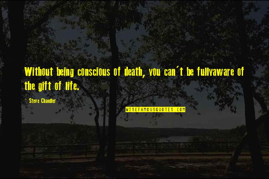 Sarcastic Mother Quotes By Steve Chandler: Without being conscious of death, you can't be