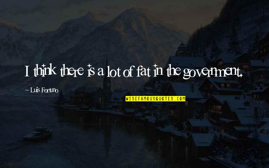 Sarcastic Office Politics Quotes By Luis Fortuno: I think there is a lot of fat