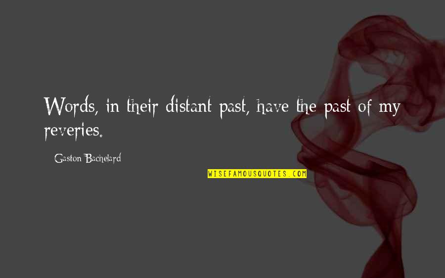 Sarcastic Stalking Quotes By Gaston Bachelard: Words, in their distant past, have the past