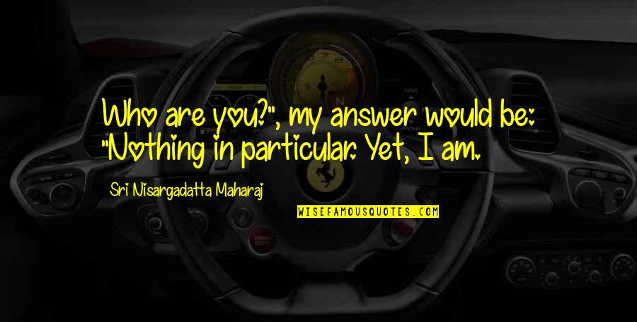 Sardar Haider Abbas Quotes By Sri Nisargadatta Maharaj: Who are you?", my answer would be: "Nothing