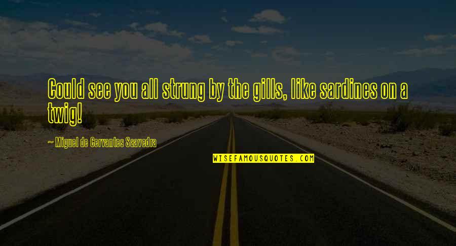 Sardines Quotes By Miguel De Cervantes Saavedra: Could see you all strung by the gills, Sardines Quotes By Miguel De Cervantes Saavedra: Could see you all strung by the gills,