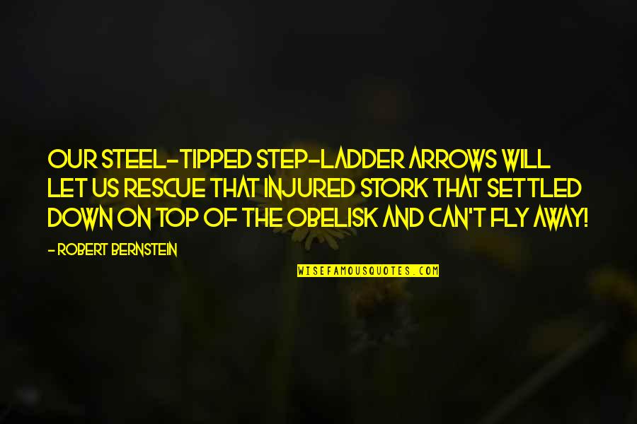Sarducci Quotes By Robert Bernstein: Our steel-tipped step-ladder arrows will let us rescue Sarducci Quotes By Robert Bernstein: Our steel-tipped step-ladder arrows will let us rescue