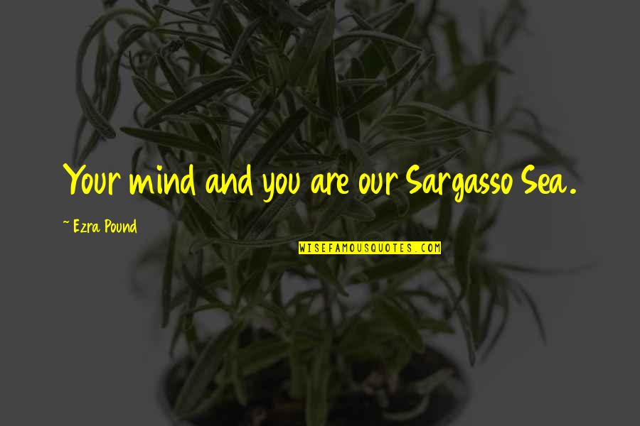 Sargasso Sea Quotes By Ezra Pound: Your mind and you are our Sargasso Sea.