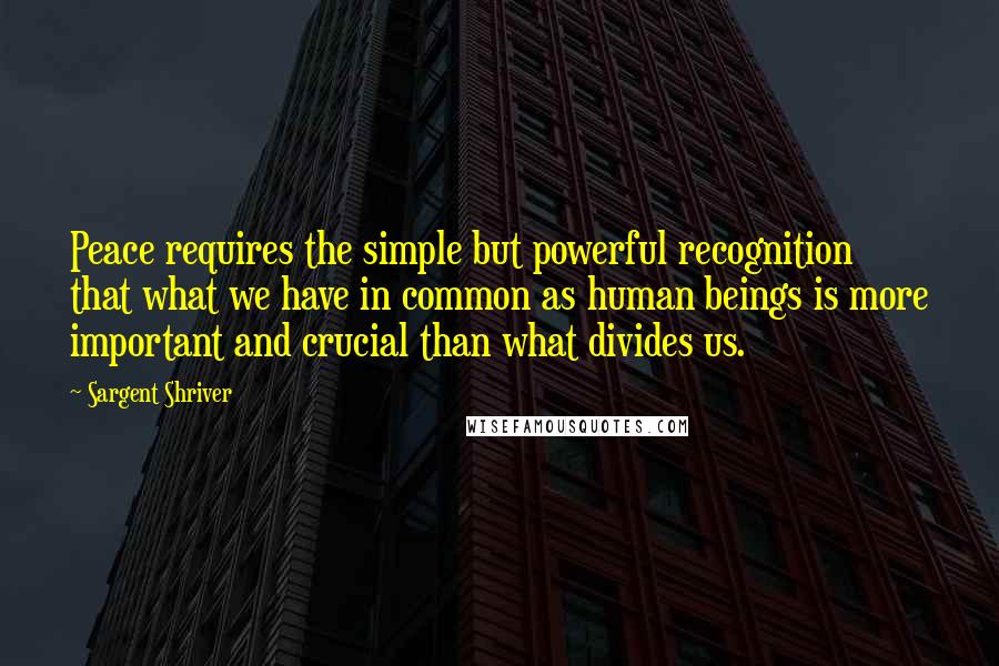 Sargent Shriver quotes: Peace requires the simple but powerful recognition that what we have in common as human beings is more important and crucial than what divides us.