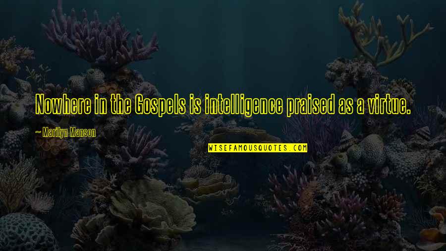 Sarianna Christenson Quotes By Marilyn Manson: Nowhere in the Gospels is intelligence praised as Sarianna Christenson Quotes By Marilyn Manson: Nowhere in the Gospels is intelligence praised as