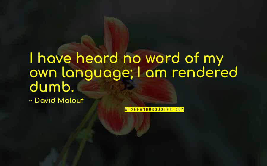 Sarieha Alsawafs Height Quotes By David Malouf: I have heard no word of my own Sarieha Alsawafs Height Quotes By David Malouf: I have heard no word of my own