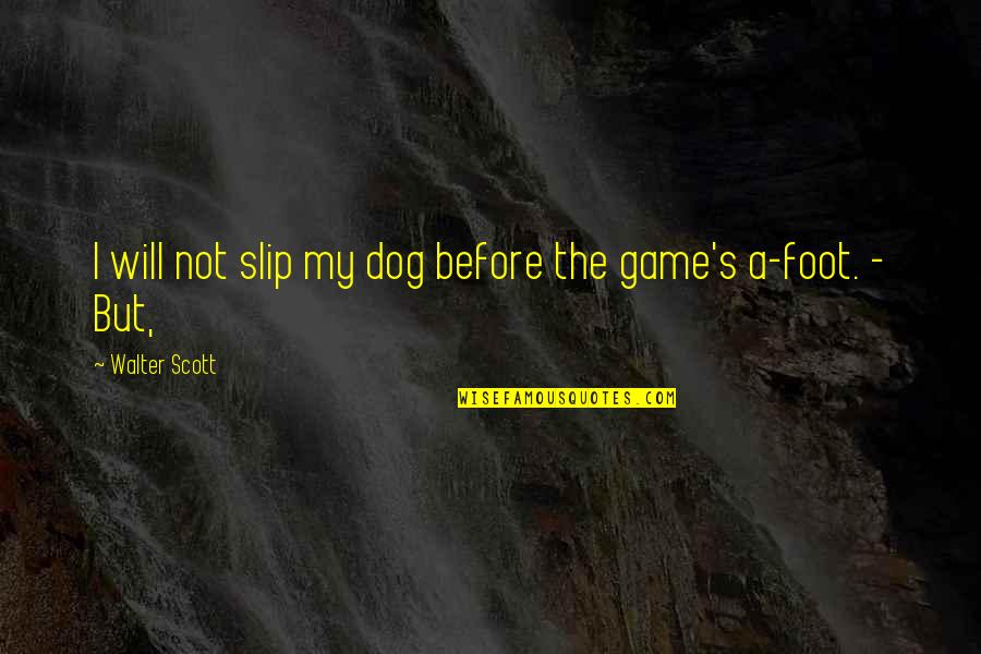 Sarkadi Aut Siskola Quotes By Walter Scott: I will not slip my dog before the