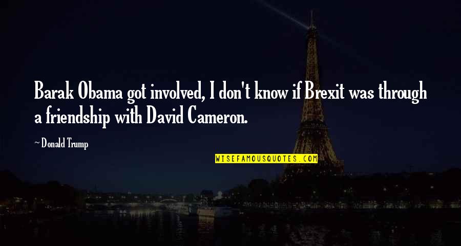 Sarnevang Quotes By Donald Trump: Barak Obama got involved, I don't know if